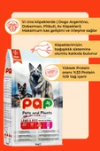 Pets and Plants Yüksek Proteinli Kuzu Etli 15 kg Yavru Köpek Maması thumbnail 2