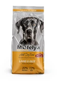 MOFELYA YETİŞKİN KÖPEK 15 KG thumbnail 1