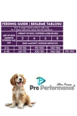 Pro Performance Puppy Small Breed Kuzulu Yaban Mersini Yavru Köpek Maması 12 Kg thumbnail 4