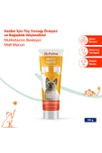 BioFeline Kediler için Multivitaminli Malt macun 100g thumbnail 1