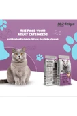 MOFELYA Yetişkin Kedi Maması 15 kg Tavuklu thumbnail 3