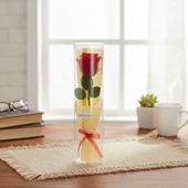 Şeffaf Silindir Kutulu Gül - Öğretmenler Günü Hediyesi thumbnail 4