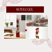 Kutulu Gül - Öğretmenler Günü Hediyesi thumbnail 1