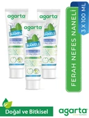 Agarta Yoğun Naneli Florürsüz Ferah Nefes Diş Macunu 100 ml x  3 Adet thumbnail 1