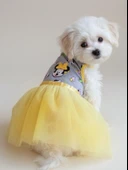 Sevimli Fare Sunny Tütü Köpek Kıyafeti | Sarı Tütülü Elbise | Küçük Irk Köpekler İçin thumbnail 5