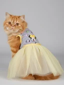 Sevimli Fare Sunny Tütü Kedi Kıyafeti | Sarı Tütülü Elbise | Kediler İçin thumbnail 5