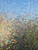 Cam Filmi Kaplama Statik Folyo  Buzlu Desenli Duşa Kabin Pencere Ofis Dekorasyon thumbnail 1