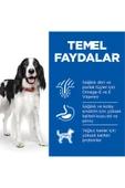 Hill’s Scıence Plan Adult Medium Lamb & Rice Orta Irk Kuzulu Yetişkin Köpek Maması 2,5 Kg thumbnail 2