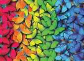 Nova Puzzle 1000 Parça Çok Renkli Kelebekler Puzzle thumbnail 3