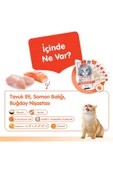 Digestive Health Somon Balığı-Tavuk Kedi Krema Ödülü 5x14gr thumbnail 3