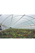 ÇİFTÇİ PLASMAR 36 Aylık Sera Naylonu 360 Mikron Uv - Eva-ır-ao-ae Katkılı 8x18 thumbnail 1