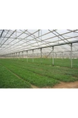 ÇİFTÇİ PLASMAR 36 Aylık Sera Naylonu 360 Mikron Uv - Eva-ır-ao-ae Katkılı 8x12 thumbnail 4