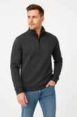 Erkek Dik Yaka weatshirt Dik Yaka Yarım Fermuarlı 3 İplik Şardonlu Pamuk Kumaş  Antrasit thumbnail 2