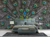 Tavuskuşu ve Tüyü Duvar Kağıdı Baskı thumbnail 2