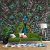 Tavuskuşu ve Tüyü Duvar Kağıdı Baskı thumbnail 1