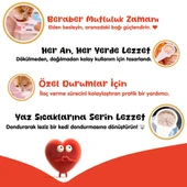 Wanpy Somonlu Kaşık Krema Kedi Ödül Maması 10x16gr thumbnail 5