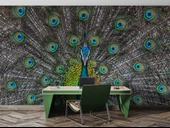 Tavuskuşu ve Tüyü Duvar Kağıdı Baskı thumbnail 4