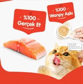 Wanpy Somonlu Kaşık Krema Kedi Ödül Maması 10x16gr thumbnail 3