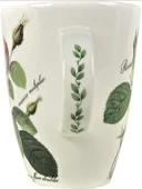Roy Kirkham Redoute Roses Çiçek ve Gül Desenli Vintage İngiliz Kemik Porseleni Fine Bone China Zarif Kupa/Mug thumbnail 2