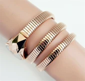 Just Cavalli JC1L114M0055 Kadın Kol Saati thumbnail 5