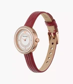 Emporio Armani AR11532 Kadın Kol Saati thumbnail 2