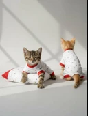 Berry Kedi Uyku Seti | Penye Kedi Tulum ve Mini Yastık Takımı | Pamuklu | Tüy Dökülmesini Azaltır | thumbnail 5