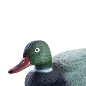 Yeşil Baş Ördek Mühresi - Küçük - Erkek - Yüzen Mühre - Savage - HD 002 thumbnail 4