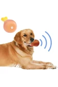 Köpekler İçin Sesli Oyuncak Tavuk Butu thumbnail 1