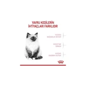 ROYAL CANİN Kitten Yavru Kediler Için Kuru Kedi Maması 400g thumbnail 10