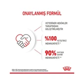 ROYAL CANİN Kitten Yavru Kediler Için Kuru Kedi Maması 400g thumbnail 2