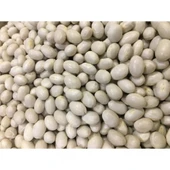 Yerli Doğal İspir Fasulye Tohumu 50 Adet Tohum thumbnail 2