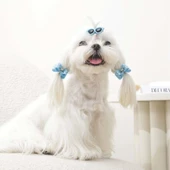 M-Pets Glam Gözlük ve Fiyonklu Kedi ve Köpekler İçin Aksesuar Toka Mavi thumbnail 3