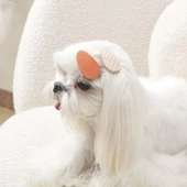 M-Pets Glam Desenli Kedi ve Köpekler İçin Aksesuar Toka Turuncu thumbnail 3