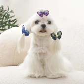 M-Pets Glam Kelebekli Kedi ve Köpekler İçin Aksesuar Toka Mavi Mor ve Yeşil thumbnail 3