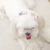 M-Pets Glam Figürlü Kedi ve Köpekler İçin Aksesuar Toka Pembe thumbnail 4