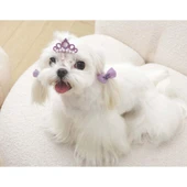 M-Pets Glam Taç ve Fiyonklu Kedi ve Köpekler İçin Aksesuar Toka Mor thumbnail 4