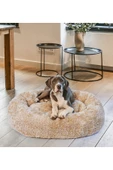 Ayıcı Oyuncak Evcil Hayvan Konforu İçin Peluş Yatak - Tüm Irklara Uygun thumbnail 1