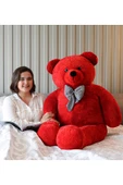 Özgüner Oyuncak Dev Büyük Peluş Ayıcık 170 Hediyelik Ayı (%100 YERLİ) thumbnail 1