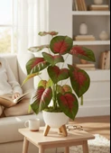 Yapay Çiçek Salon Bitkisi Kızıl Difenbahya 70cm 18 Yaprak Beyaz Zigon Saksıda thumbnail 7