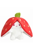 Ayıcı Oyuncak 50 Cm Çilek Çantalı Tavşan thumbnail 2
