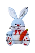 Ayıcı Oyuncak Sevimli 80 Cm Elinde Havuç Tutan Tavşan thumbnail 3