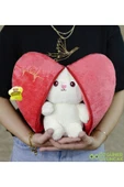 Ayıcı Oyuncak Sürprizli Pelüş Kalp Tavşan 50 Cm thumbnail 2