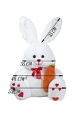 Ayıcı Oyuncak Pandamkee Sevimli 80 Cm Elinde Havuç Tutan Tavşan thumbnail 3