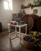 Hitit Tamamı Paslanmaz Krom Üzüm Ezme Sıkma Patlatma Makinesi thumbnail 2