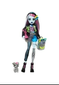 Monster High Frankie Stein HPD53 HXH73 Lisanalı Ürün thumbnail 3