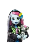 Monster High Frankie Stein HPD53 HXH73 Lisanalı Ürün thumbnail 4