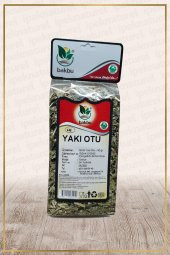 Yakı Otu (Herba moxibustion) - 1