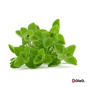 Dolar Kimya Kekik Yağı - 50 mL thumbnail 2