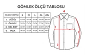 Erkek Beyaz/Mavi Slim Fit Gömlek – Plus Scorpion, Ofis & Günlük Şık Kombin, Ütü Gerektirmeyen thumbnail 2