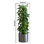 Saksılı Bitki Tasarımlı Yapışkanlı Sticker Resim 90*30 cm (5284) thumbnail 4